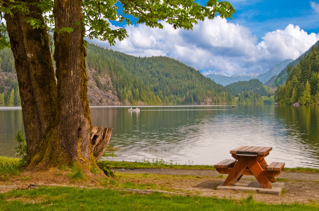 Picnic table in shade of triple tree at the beach of Bunzen Lake